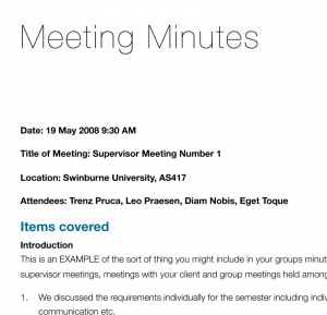Meeting Minutes Example